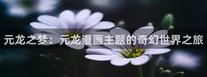 萌师在上漫画下拉式奇漫屋：元龙之梦：元龙漫画主题的奇幻世界之旅