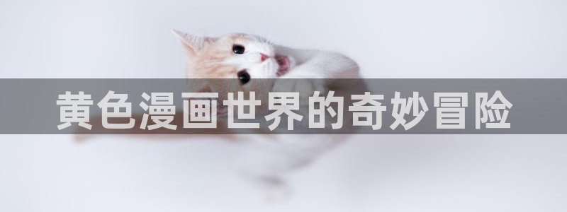 奇漫屋0