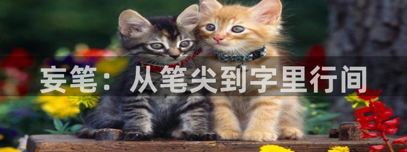 破云漫画下拉式奇漫屋