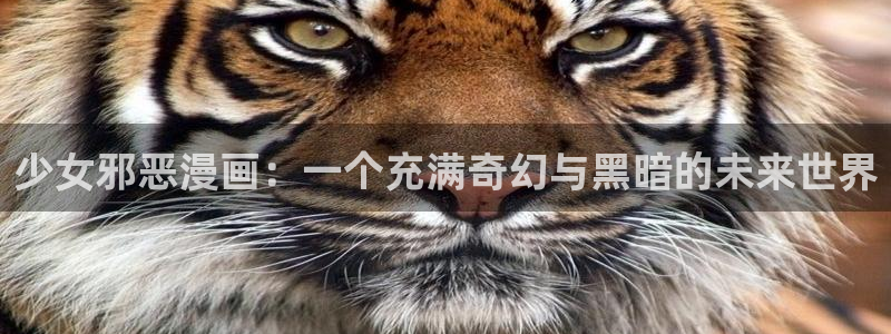 奇漫屋网
