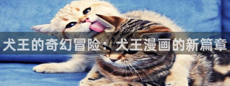 奇漫屋0