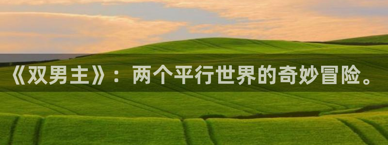 奇漫屋网：《双男主》：两个平行世界的奇妙冒险。
