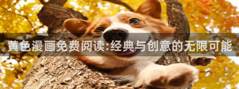 奇漫屋免费漫画漫画大全免费：黄色漫画免费阅读:经典与创意的无限可能