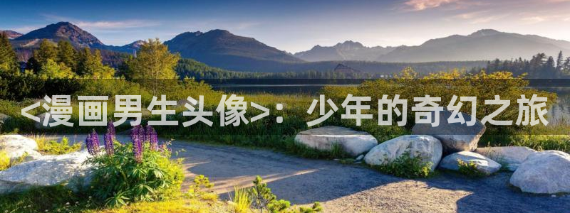 奇漫屋画免费漫画下拉式：<漫画男生头像>：少年的奇幻之旅